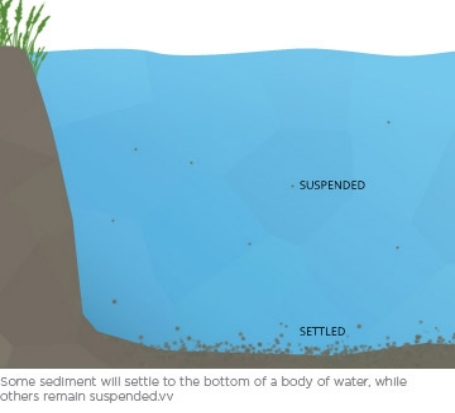 Total Suspended Solid (TSS)